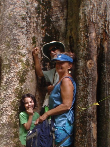 In Big Tree